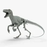 Atrociraptor Rigged Basemesh Skeleton(1)