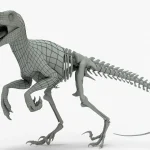 Atrociraptor Rigged Basemesh Skeleton(2)
