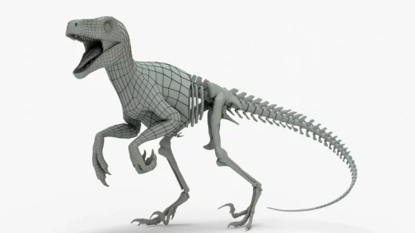 Atrociraptor 3D Model Rigged Basemesh Skeleton 3D Model Creature Guard 3