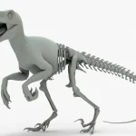 Atrociraptor Rigged Basemesh Skeleton(3)