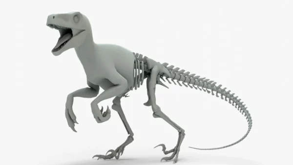 Atrociraptor 3d model