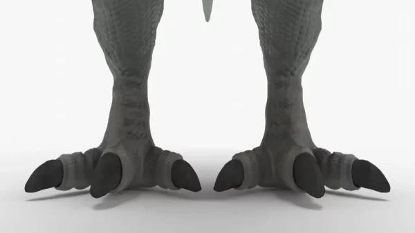 Black T-Rex 3D Model | Tyrannosaurus Rex Realistic 3D Model Creature Guard 7
