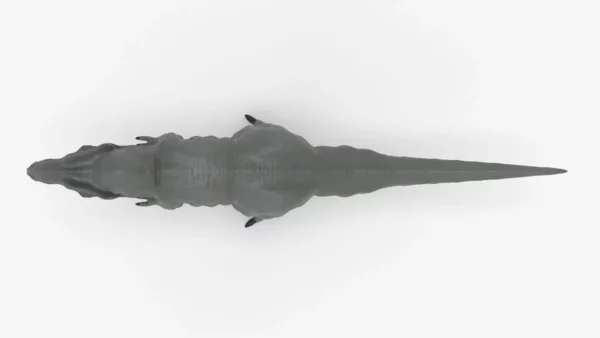 Black T-Rex 3D Model | Tyrannosaurus Rex Realistic 3D Model Creature Guard 10