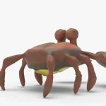 Crab 3d model(5)
