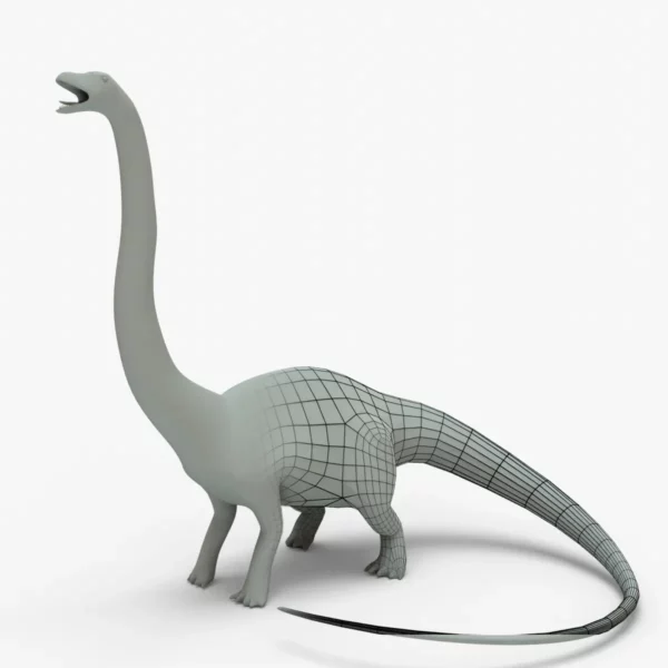 Diplodocus 3D Model Rigged Basemesh