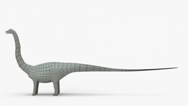 Diplodocus 3D Model Rigged Basemesh 3D Model Creature Guard 16