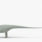 Diplodocus Rigged Basemesh(8)