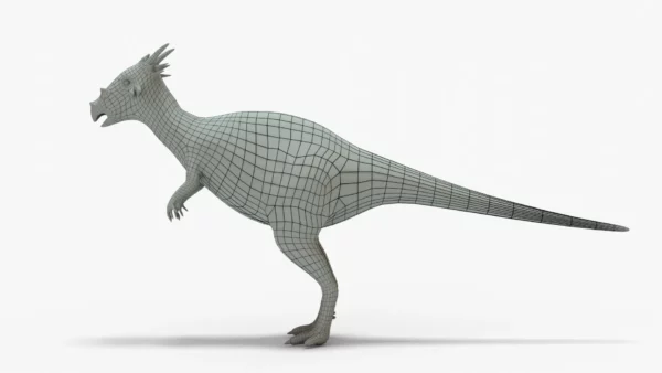 Dracorex 3D Model Rigged Basemesh 3D Model Creature Guard 9