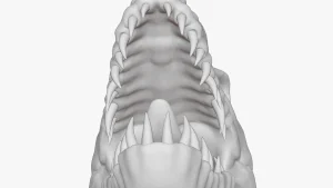 Indoraptor 3D Model
