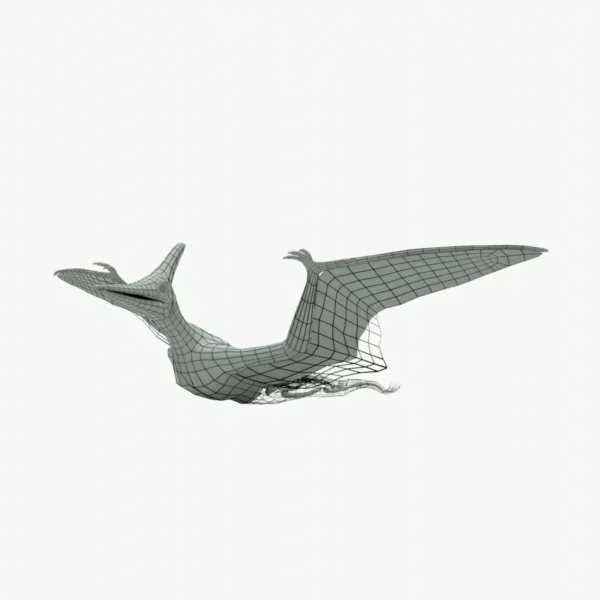 Pteranodon 3D Model Rigged Basemesh Skeleton