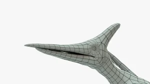 Pteranodon 3D Model