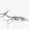 Pteranodon Rigged Skeleton 3D Model 3D Model Creature Guard 18