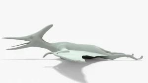 Pteranodon 3D Model