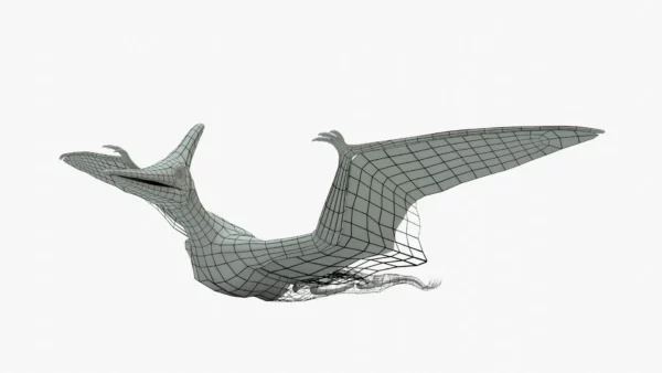Pteranodon 3D Model Rigged Basemesh Skeleton 3D Model Creature Guard 2
