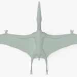 Pteranodon Rigged Basemesh Skeleton(21)