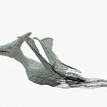 Pteranodon Rigged Basemesh Skeleton(3)