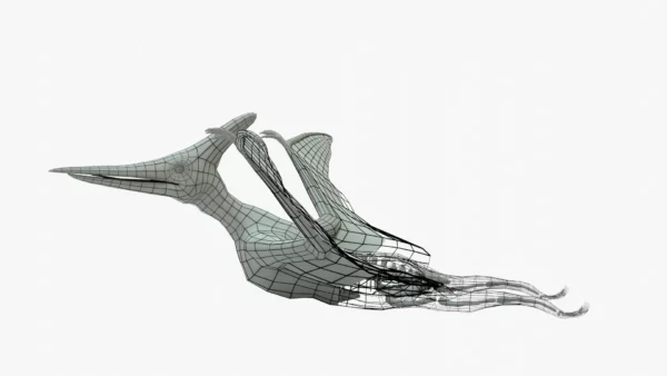 Pteranodon 3D Model Rigged Basemesh Skeleton 3D Model Creature Guard 3
