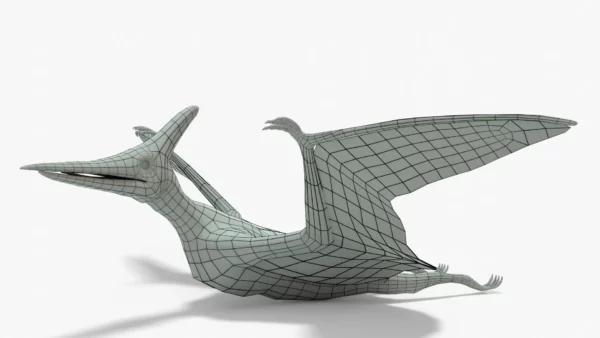 Pteranodon 3D Model Rigged Basemesh Skeleton 3D Model Creature Guard 17