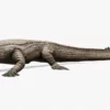 Realistic Sarcosuchus 3D Model Rigged 3D Model Creature Guard 21