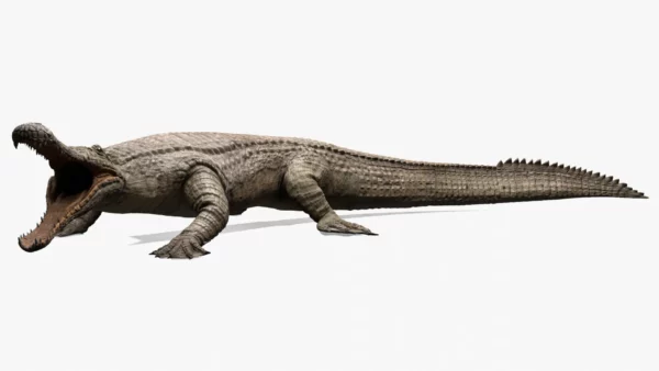 Realistic Sarcosuchus 3D Model Rigged 3D Model Creature Guard 3