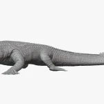 Realistic Sarcosuchus Rigged 3D Model(11)