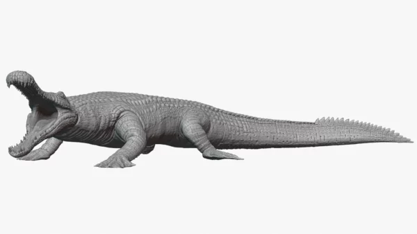 Realistic Sarcosuchus 3D Model Rigged 3D Model Creature Guard 13