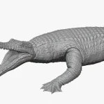 Realistic Sarcosuchus Rigged 3D Model(12)