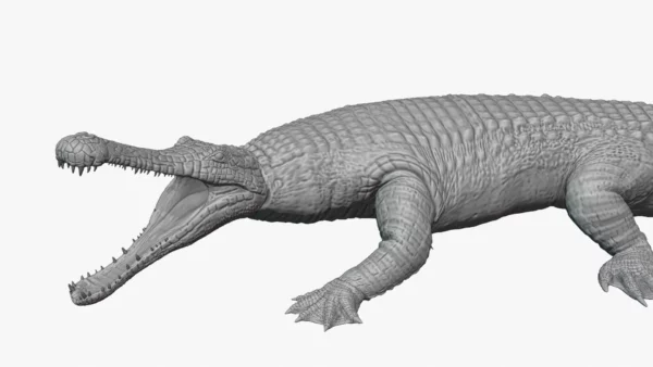Realistic Sarcosuchus 3D Model Rigged 3D Model Creature Guard 14