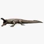 Realistic Sarcosuchus Rigged 3D Model(13)