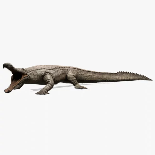 Realistic Sarcosuchus Rigged 3D Model