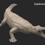 Realistic Sarcosuchus Rigged 3D Model(16)