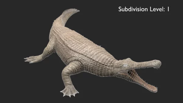 Realistic Sarcosuchus 3D Model Rigged 3D Model Creature Guard 10