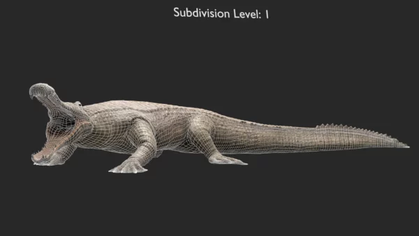 Realistic Sarcosuchus 3D Model Rigged 3D Model Creature Guard 11