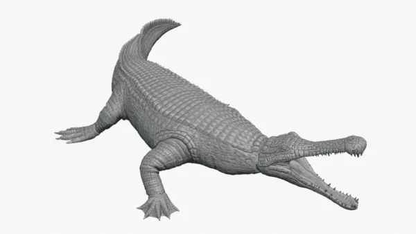 Realistic Sarcosuchus 3D Model Rigged 3D Model Creature Guard 15