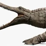 Realistic Sarcosuchus Rigged 3D Model(6)