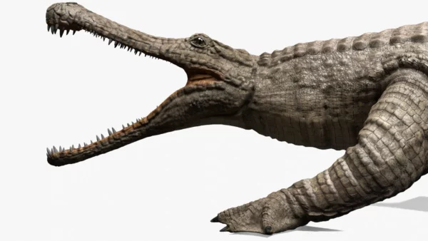 Realistic Sarcosuchus 3D Model Rigged 3D Model Creature Guard 6