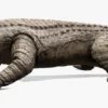 Realistic Sarcosuchus 3D Model Rigged 3D Model Creature Guard 25