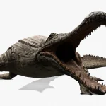 Realistic Sarcosuchus Rigged 3D Model(9)