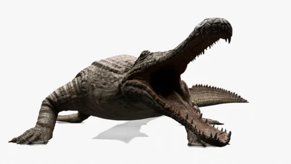 Realistic Sarcosuchus 3D Model Rigged 3D Model Creature Guard 5
