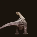 Realistic Titanosaurus Rigged 3D Model(13)