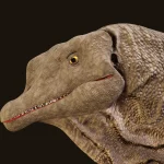Realistic Titanosaurus Rigged 3D Model(15)