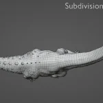 Realistic Titanosaurus Rigged 3D Model(25)