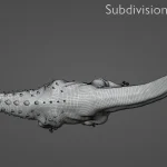 Realistic Titanosaurus Rigged 3D Model(29)