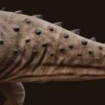 Realistic Titanosaurus Rigged 3D Model(3)