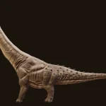 Realistic Titanosaurus Rigged 3D Model(5)