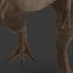 Realistic Tyrannosaurus Rex Rigged Low Poly(17)