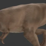 Realistic Tyrannosaurus Rex Rigged Low Poly(18)