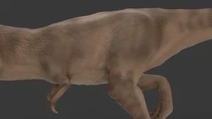 Tyrannosaurus Rex 3D Model