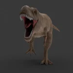 Realistic Tyrannosaurus Rex Rigged Low Poly(20)