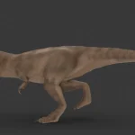 Realistic Tyrannosaurus Rex Rigged Low Poly(21)